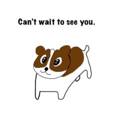 corgi does