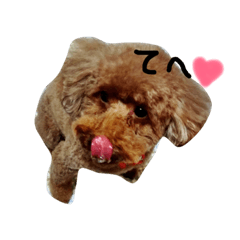 rarareohanamei2