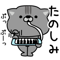 にゃむ猫ちゃぽ挨拶ゆるいかも
