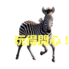 zebra C