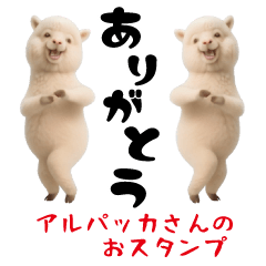 Alpaca's sticker.