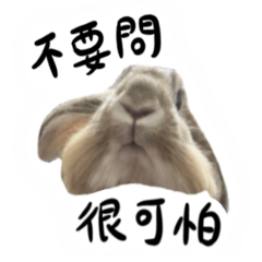 垂耳兔令古-貼紙版