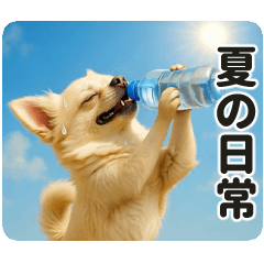 ずっと使える♡夏のチワワ