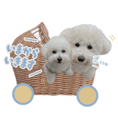 yunomama_20250703232045