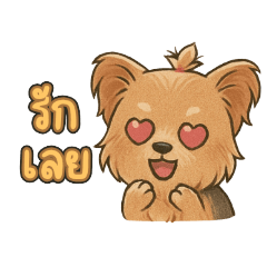 หมาน้อยบิงโก