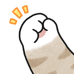 貓咪的胖手手很有戲 (奶油虎斑貓)無字