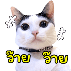 แชปครองโลก ver. มีเสียงนะนิ่