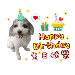 我的毛小孩寶貝們♡