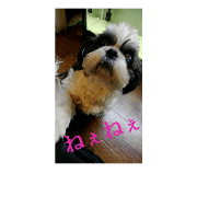 doglovefamilylove