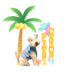 レイキー＆ウェルシュの夏の思い出love