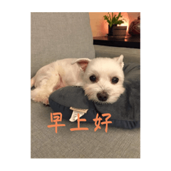 Mandy_20250704205634