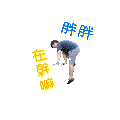 weiweipei