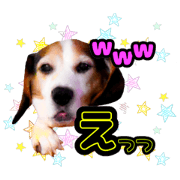 Everyday use dog stamp :0 (beagle)