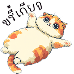 แมวส้มแมวเป้าหัวกลม