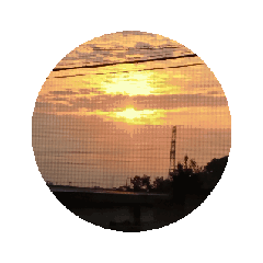 sugar_20250705160337