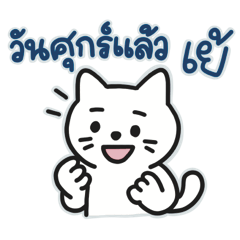 Snow White Cat's Busy Day