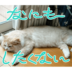 maki_20250704224347