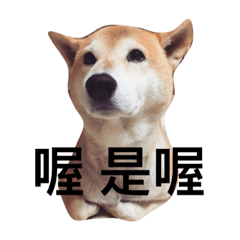 黑桃不是黑色的