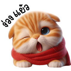 Orange cat, red scarf, cute