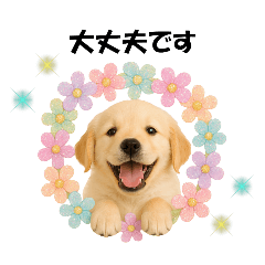 かわいいゴールデンレトリバーの犬スタンプ