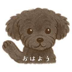 chika_20250705100824