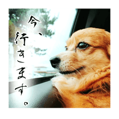 kurage_20250705170528