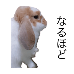 ABCDEFG_20250705171808