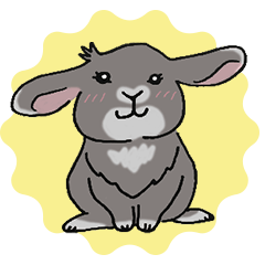Let's play with Lop-eared rabbit
