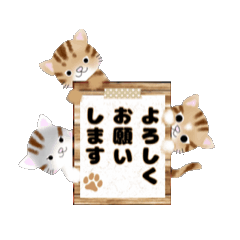 動く！我が家のニャンズ