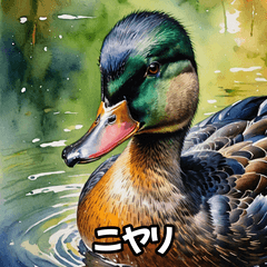 Exploding Duck Emotions! – LINE stickers | LINE STORE
