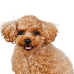 くむちゃんの可愛いスタンプです❕