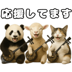 Sanshin Friends from All Over the World