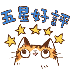 貓貓SOLA與洽米3