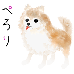 ポメラニアンのうりこちゃん（絵本風）