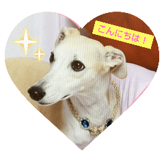 charm_20250704175642