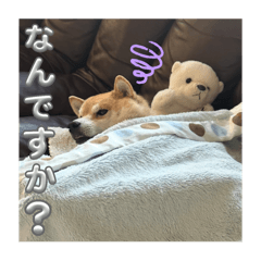 Ri chan_20250704221710