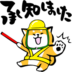 ふでしば【安全第一、3匹】柴犬