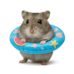 Puku on Summer Break