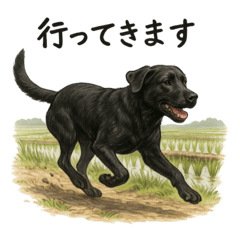 黒ラブ（黒いラブラドール）の日常スタンプ
