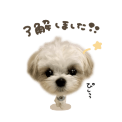 つむぎくん☆deformation
