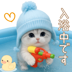 scottish fold blue nit sticker keigo