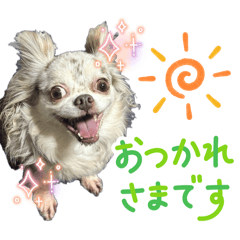 Kamiyan_20250705154240
