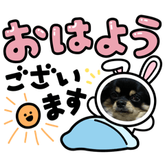 A_chanpo_20250705181555