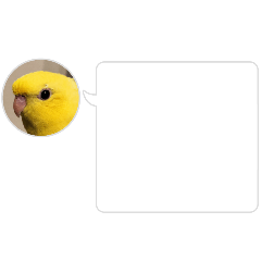 mere mere mere rikoruru3920