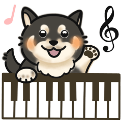 Black Shiba Inu music teacher