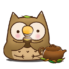 A cute owl Hoo Hoo-2