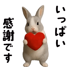 動く！灰色ウサギ