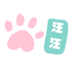 Common phrases in daily life