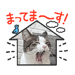 hanichan_20250706183810