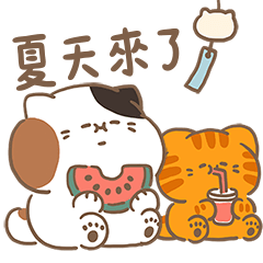 Sanfa cat-Cats in summer